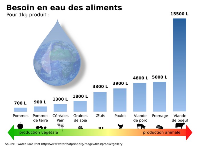graphique de la ressource en eau utilisée protéines animales vs protéines végétales